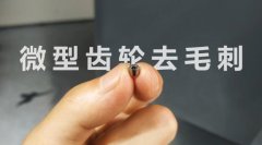  小微齒輪去毛刺清理，適合磨粒流加工！ 